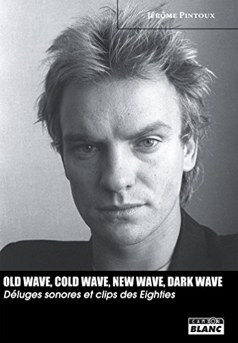 Photo de Old wave, cold wave, new wave, dark wave Déluges sonores et clips des Eighties