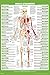 Muscle Attachment Anatomy Chart Human Body Anterior Skeleton Nursing Student Essentials Muscular Joint Medical Classroom Science Class Biology Educational Cool Wall Decor Art Print Poster 16x24