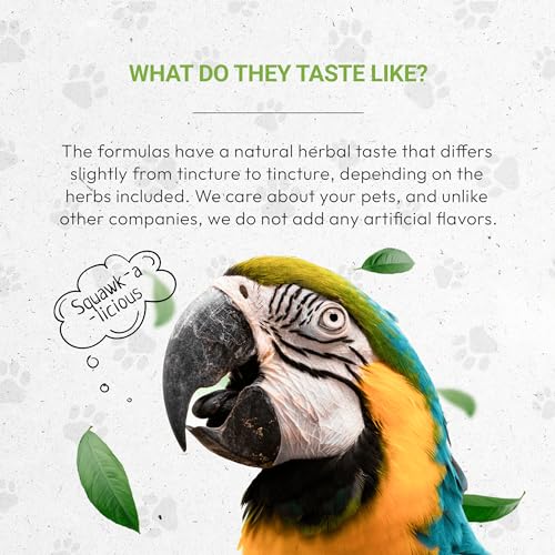 Birds Respiratory | Natural Herbal Dietary Pet Supplement for Birds | Healthy Respiratory System Support | Alcohol-Free Extract, Horehound, Linden, Peppermint, Elder Flowers, Fennel 2 oz - Image 4