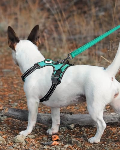 Dog Leash Heavy Duty for Large Medium Dogs, 6 FT Reflective Nylon Pet Walking Lead with Soft Padded Handle, Durable & Tangle Free for Training, Running & Safety Control, Teal - 2