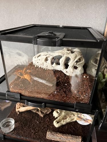Awxzom GLASS TANK FOR REPTILES Mini Reptile Glass Terrarium Tank, Cage For Tarantula Sling Geckos, Frog, Lizards, Chameleons,Turtles Snake Snail Insect Hermit Crab Isopods Reptiles Enclosure thumb #3