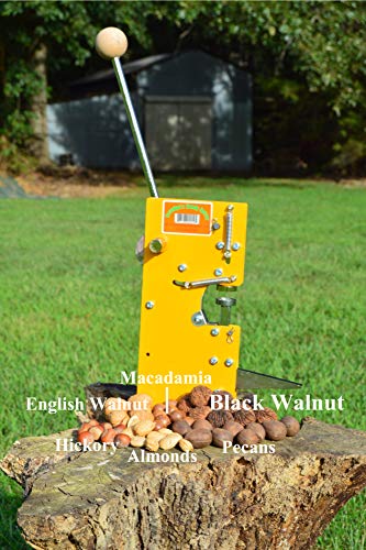 Black Walnut Nut Cracker - Image 5