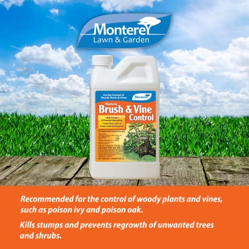 Monterey LG 5366 Brush And Vine Control - Kills Stumps & Prevents Sprouting thumb #1