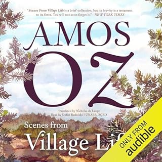 Scenes from Village Life Audiobook By Amos Oz, Nicholas de Lange - translator cover art