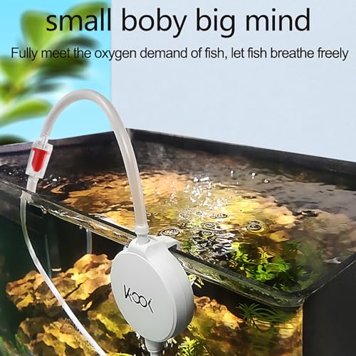 Image of All-in-1 Aquarium Air Pump Kit, 1.3 Watt for 1-15 Gallon Quiet Air Pump for Aquarium Fish Tank (White)
