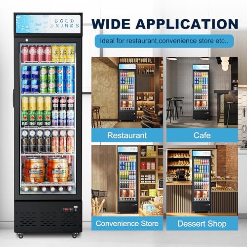 Image of Commercial Glass Door Display Refrigerator 12 cu.ft Commercial Beverage Refrigerators with LED Light & 5 Shelves for Cafe, Restaurant, Store, Bar