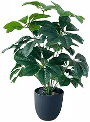 Planta artificial grande para sala Schefflera chinensis 70 cm com 18 ramos e folhas largas
