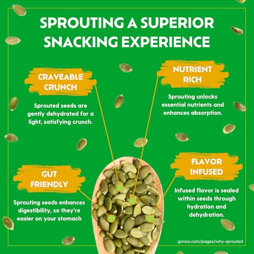 Go Raw Organic Cherry Berry Chocolate Chunk Snacking Granola - Light, Crisp - image 2
