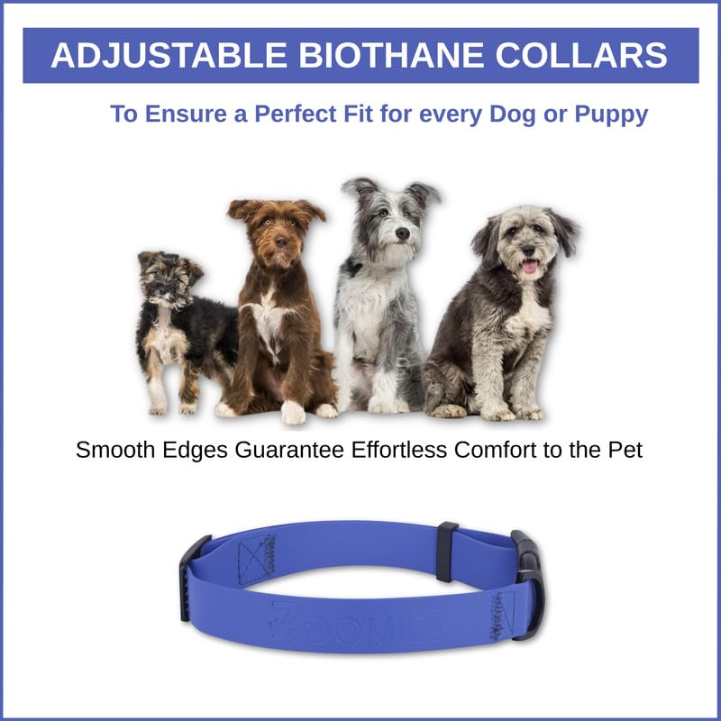 Image of Zoomies Dogs Unisex Biothane Waterproof Collar with Quick-Release Buckle and Metal D-Ring for Outdoor Adventures and Everyday Use - Odour-Free & Easy to Clean -Blue (ZBBC000L)