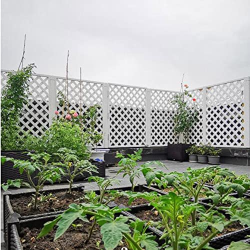 Clôtures décoratives de jardin en treillis haut de gamme