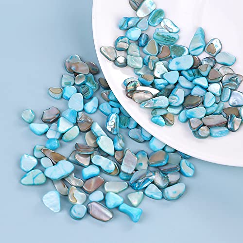 LYFJXX Crushed Shells for Crafts, Sea Shells for Kids DIY Art, Vase Fillers Table Scatter, Party Favor, Wedding Decoration, Succulents Plants Soil Cover, Art Crafts (Blue) - Thumbnail 6