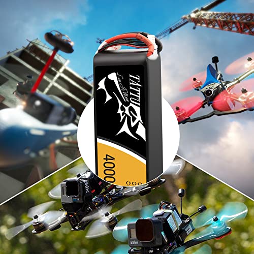 Tattu Batteria Lipo 6S 4000 mAh 22,2 V 15 C con