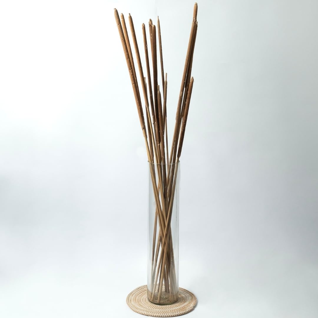 IDIKA Living Dried Cattail Stems |Set of 20 Sticks| Textured for Rustic & Boho Decor | Perfect for Vases, Floral Arrangements & DIY Crafts | Long-Lasting, Elegant & Versatile(Natural)-image-28