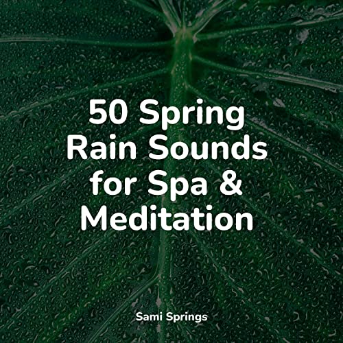 50 Spring Rain Sounds for Spa & Meditation by Tibetan Singing Bowls for ...