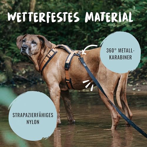 Rudelkönig Schleppleine 5m für Hunde - Robuste & wetterfeste Hundeleine für eine erfolgreiche Hundeerziehung - Mit Griffpolsterung