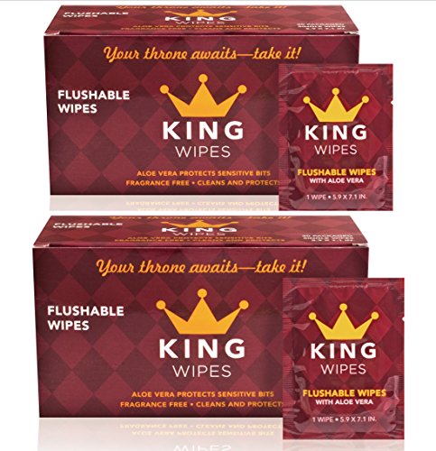 Best Kirkland Flushable Wipes For Adults Fragrance Free