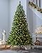 WeRChristmas Pre-Lit Spruce Multi-Function Christmas Tree with 200 LED Lights, 6 feet/1.8 m - Green WeRChristmas Pre-Lit Spruce Multi-Function Christmas Tree with 200 LED Lights, 6 feet/1.8 m - Green