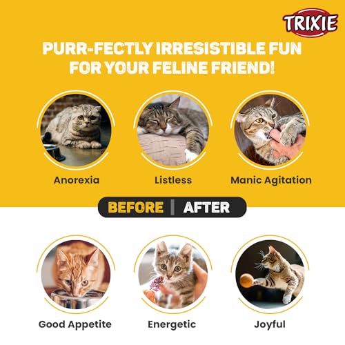 Image of Trixie: - Matatabi Chewing Stick | Interactive Cat Toy, Attracts and Stimulates Cats Hunting Instincts | Made with Dried Matatabi Fruits, Supports Dental Hygiene and Cleans Teeth - 10 Gm