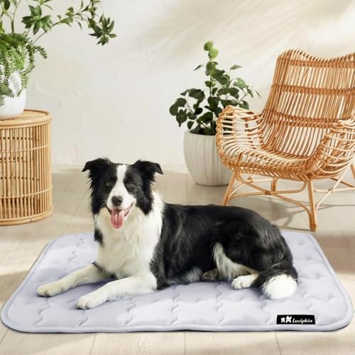 luciphia Tappetino Refrigerante Cane e Gatti,Tappeto per Cani,Cuscino Rinfrescante Estivo,Cuccia Lavabile per Cani,Coperta Rinfrescante per Cani di Taglia Grande,Media e Piccola Grigio 77 * 102cm