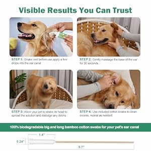 CuteBone Dog Anti-Itch Ear Flush – Cleans & Removes Wax Odor, Deodorizes, Soothes Ear Inflammation for Pet – Easy Ear Wash Care Solution – Ear Cleaner 4 fl.oz & 30 Cotton Swabs Kit