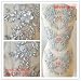 Hand Beaded Flower Sequence 3D Lace Applique Motif Sold by 3 Pairs Great for DIY Decorated Craft Sewing Costume Evening Bridal Top A6 (Silver)