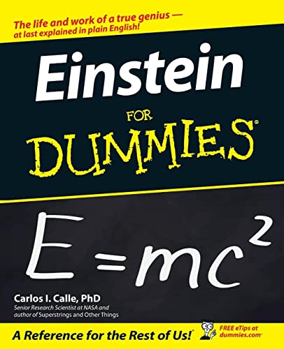 Einstein For Dummies view 2