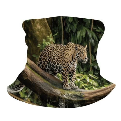 Neck Gaiter Face Mask Men Women, Tropical Palm Tree Face Mask Scart Cover for Dust Wind Sun Protection