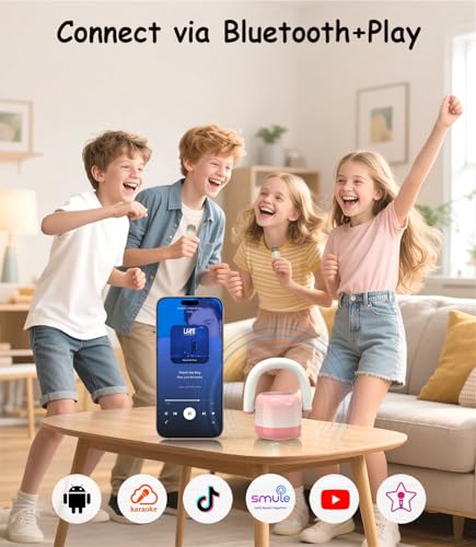 Portable Bluetooth Karaoke Microphone