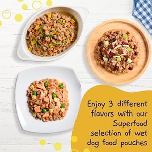 MOOCHIE Moist Canine Meals – Superfood Collection of Smooth Canine Meals – Duck, Salmon & Rooster Liver Flavors – No Added Preservatives or Manmade Flavoring -12 x 2.5 oz Pouch