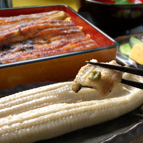 浜名湖山吹 やまぶき特撰うなぎあらかると