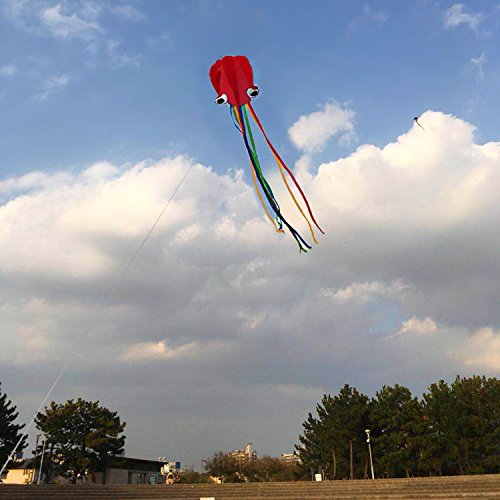 2 Pack Kites - Large Rainbow Kite And Red Mollusc Octopus With Long Colorful Tail For Children Outdoor Game,Activities,Beach Trip Great Gift To Kids Childhood Precious Memories #TOP3