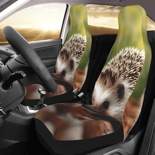Housses de siège avant de voiture de luxe Hedgehog étanches et antidérapantes