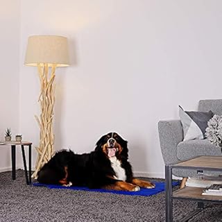 lionto Tappetino refrigerante per Animali Domestici Tappetino rinfrescante per Cani, (XL) 120x80 cm Blu