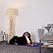 lionto Kühlmatte für Hunde & Katzen, selbstkühlende Haustiermatte sorgt für Erfrischung an warmen Tagen, 120x80 cm, Faltbare Kühldecke ohne Strom, Kühlung durch Körperkontakt, leichte Reinigung, blau