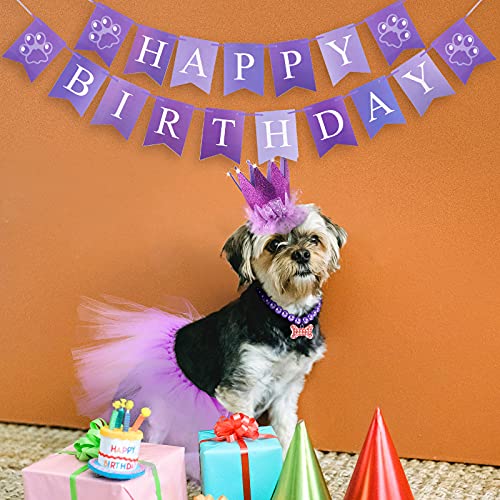 Disfraz cumpleaños perro 4 piezas tutu corona collar miniatura 5