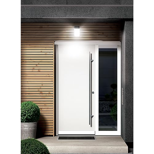 Lámparas de esfera para exterior 5 lamparas de esfera para exterior marca Volteck (2)