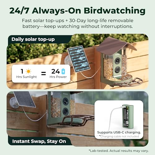 Image of Kiwibit Smart Bird Feeder with 4K AI Camera Solar Powered, No Subscription