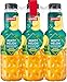 granini Sensation Minty Melon, 6er Pack, EINWEG (6 x 750 ml)