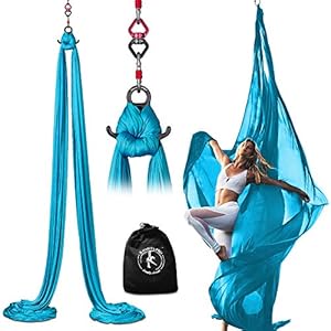 Professional 11 Yards Aerial Silks Equipment for All Levels - Medium Stretch Aerial Yoga Swing & Hammock Kit - Perfect for Indoor Outdoor Aerial Dance, Circus Arts – ALL Hardware Included (Sky Blue)