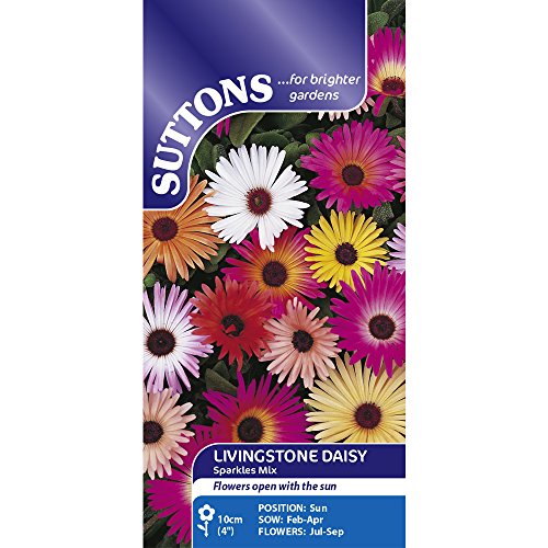 Suttons Seeds Livingstone Daisy Sparkles Mix Seeds