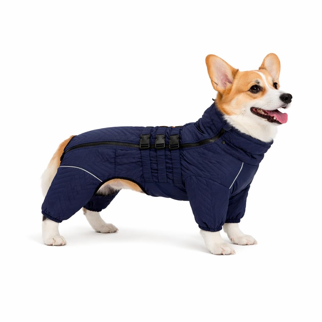 Abrigo cálido para perro, chaleco de perro de doble capa, 4 patas cubiertas, resistente al viento, impermeable, reflectante, chaleco cálido para perro, patinaje al aire libre, disfraz de perro para