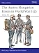 Produktbild The Austro-hungarian Forces in World War I 2- 1916-18 (Men at Arms, 397)