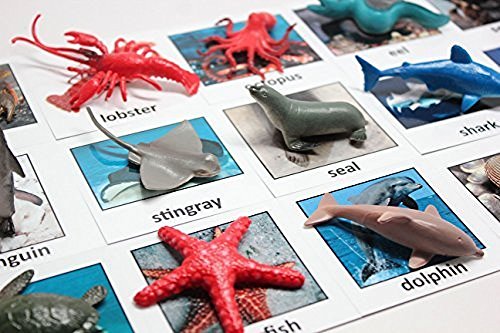 Curious Minds Busy Bags Montessori Animal Match - Miniature Ocean Animals with Matching Cards - 2 Part Cards. Montessori Learning Toy, Language Materials