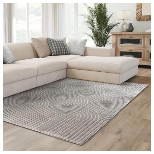 Interiyou Tapis Salon à Poils Courts Cannes - 200x300 Gris - Motif bohème scandinave avec Effet 3D - Plat et géométrique - Poil Ras pour Chambre, Couloir, Bureau