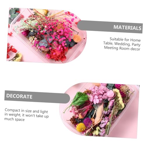6 cajas flores secas naturales para decoración y manualidades miniatura 5