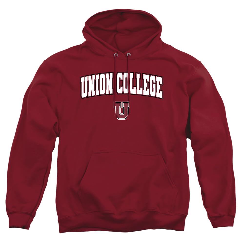 LOGOVISION Official Collegiate Arch Logo Adult Pull-Over Hoodie Collection 3
