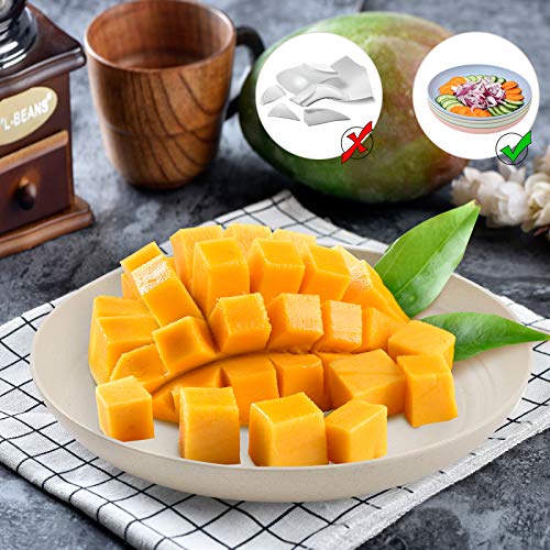 Wwyybfk 10 Inch 4Pcs Unbreakable Dinner Plate-Reusable Plate Set And Microwave Safe-Bpa-Free Sturdy Tableware-Perfect Choice For Fruit Plater, Dinner,Dishes #TOP4