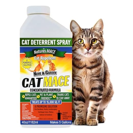 Concentrated Cat Repellent for Training