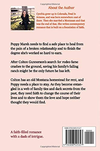 Warm Montana Home LARGE PRINT EDITION (A Moose Hollow Novel Large Print Edition)