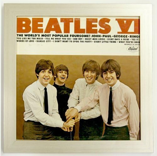 Record Album Sleeve Display Frame Featuring Solid Wood Frame and UV Glass Front (Not Plastic) (Brushed Silver) Wall Hanging Easy Mount
